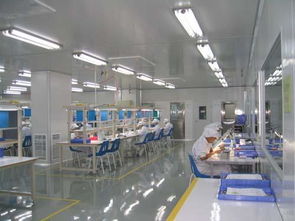 食品廠凈化工程 潔凈室核心凈化原理與設計要點解析